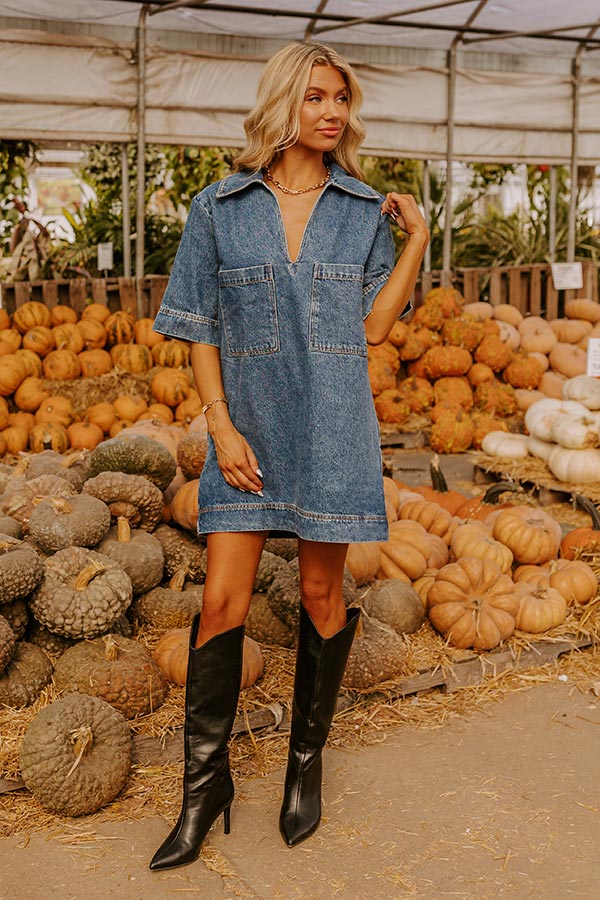 Ultimate Southern Charm Denim Mini Dress